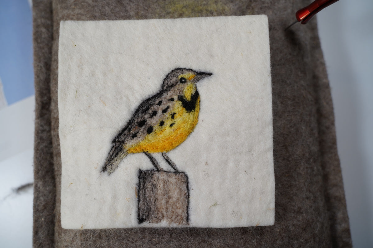 Needle Felting Kits