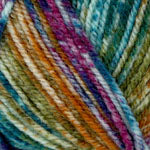 Encore Worsted Colorspupn